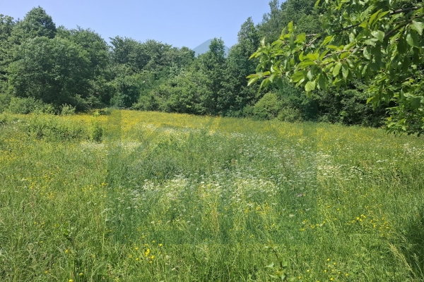 Land in Rizvanuša – Attractive Location in a Natural Setting!