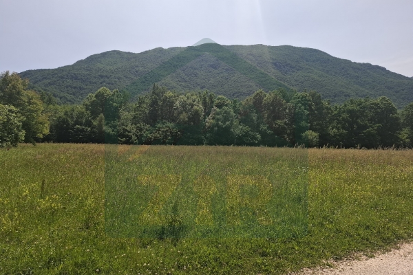 Land in Rizvanuša – Attractive Location in a Natural Setting!