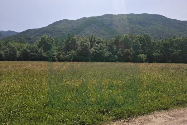 Land in Rizvanuša – Attractive Location in a Natural Setting!