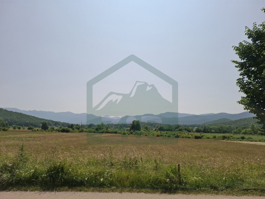 ZIR real estate1
