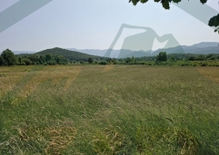ZIR nekretnine3