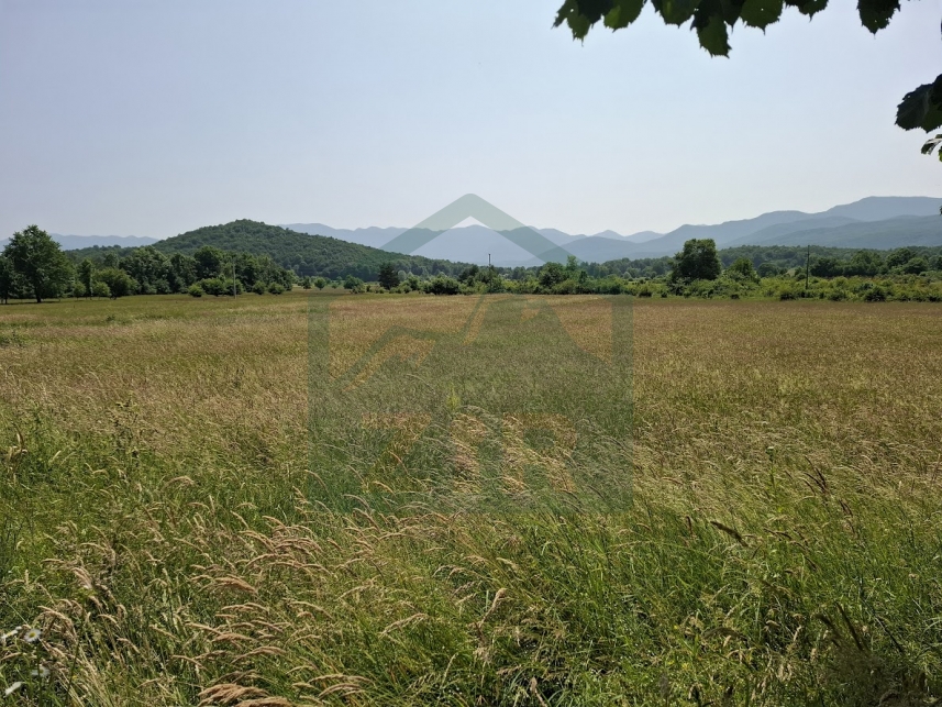 ZIR real estate3