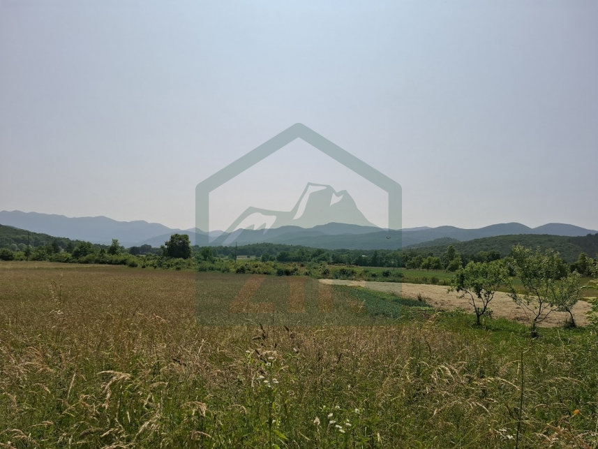 ZIR real estate3a