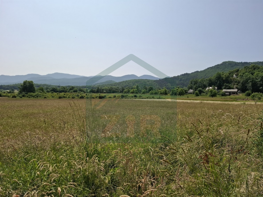 ZIR real estate4