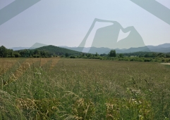 ZIR nekretnine6