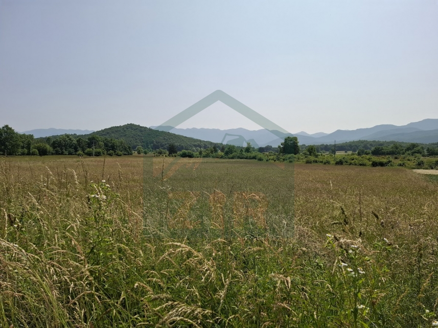 ZIR real estate6
