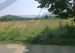ZIR nekretnine7