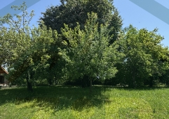 ZIR nekretnine11