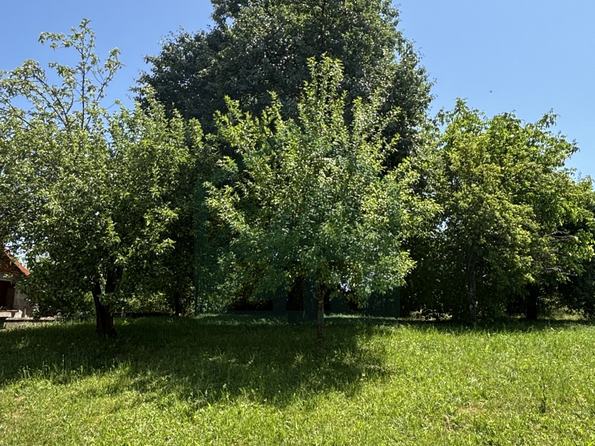 ZIR nekretnine11