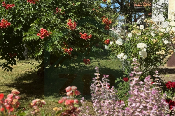 Kuća s okućnicom i dvorišnim zgradama, Lički Osik!