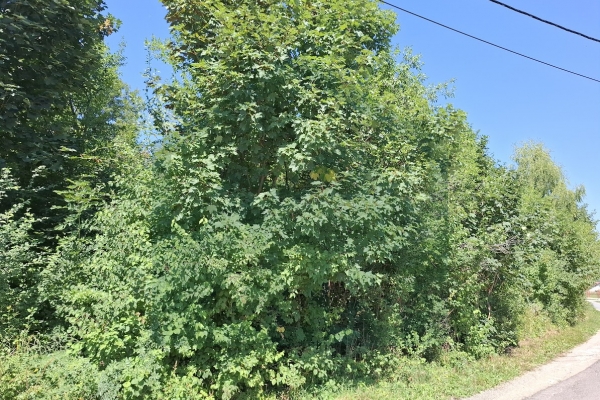 Građevinsko zemljište u Gospiću, 1800 m²!