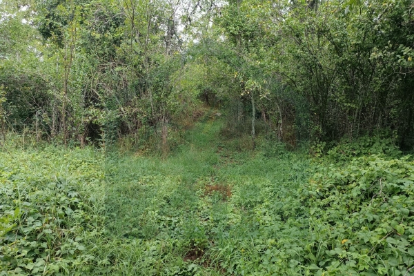 Zemljište u Lici, Klanac, 10.000 m² !