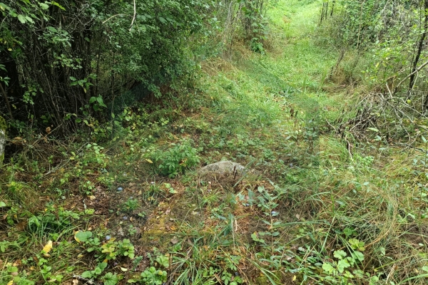 Zemljište u Lici, Klanac, 10.000 m² !