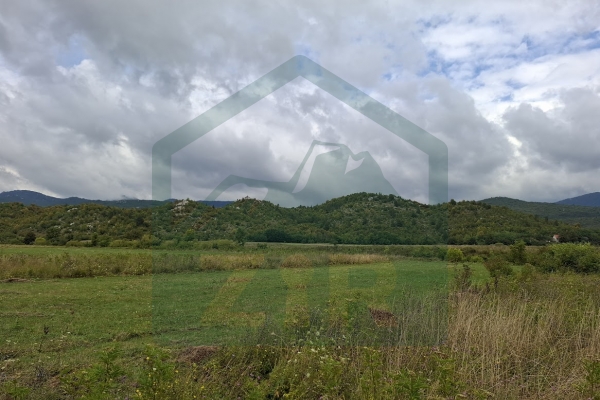 Zemljište u Kosinju, 15000 m²!