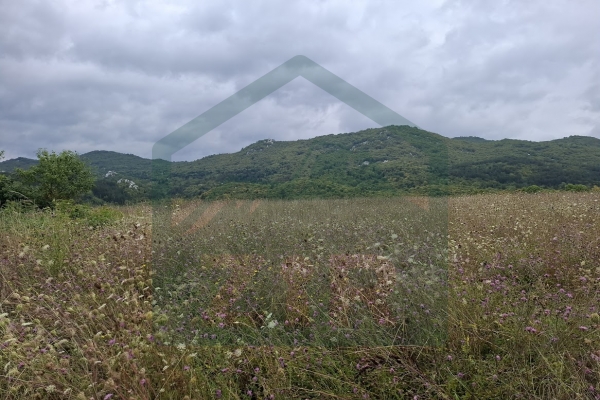 Zemljište u Kosinju, 15000 m²!