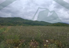 ZIR nekretnine7