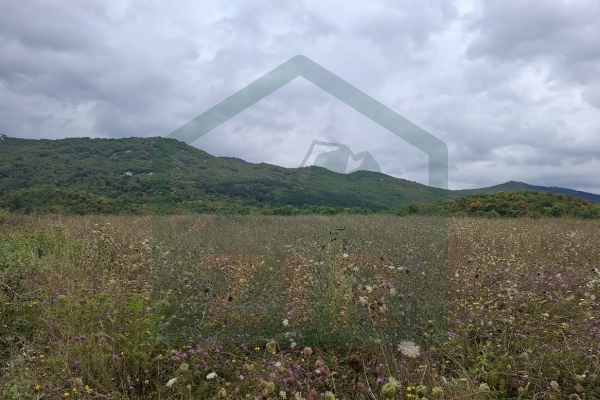 Zemljište u Kosinju, 15000 m²!