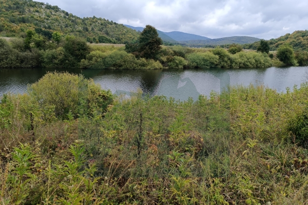Zemljište u Kosinju, 15000 m²!