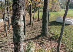 ZIR nekretnine10a