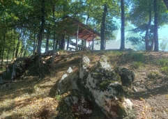 ZIR nekretnine8