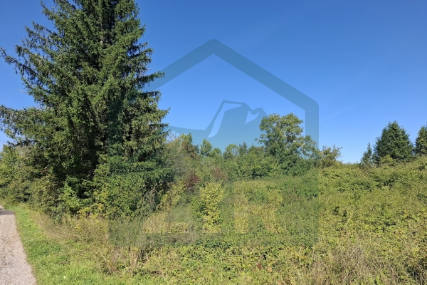Građevinsko i poljoprivredno zemljište u Metku, 41000 m²!