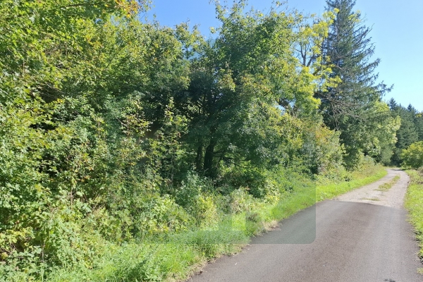 Građevinsko i poljoprivredno zemljište u Metku, 41000 m²!
