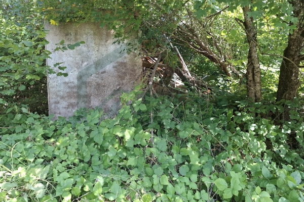 Građevinsko i poljoprivredno zemljište u Metku, 41000 m²!
