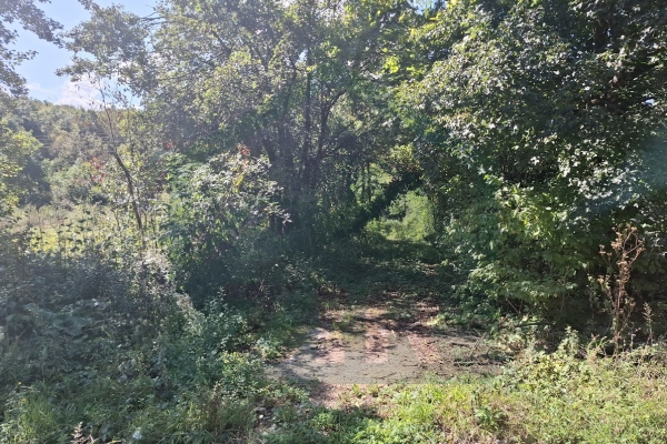 Građevinsko i poljoprivredno zemljište u Metku, 41000 m²!