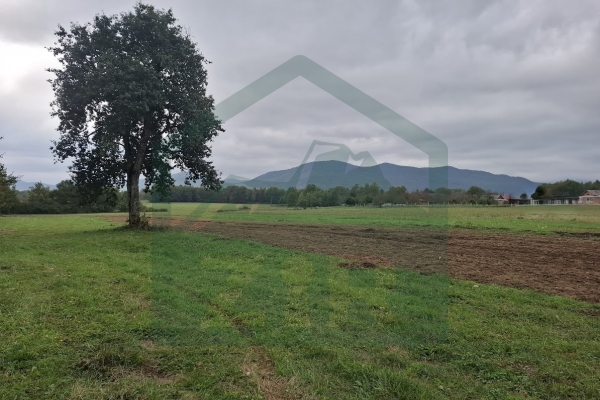 Građevinsko i poljoprivredno zemljište pov. 8000 m², Gornje Pazarište!