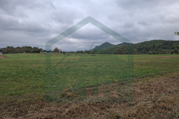 Građevinsko i poljoprivredno zemljište pov. 8000 m², Gornje Pazarište!