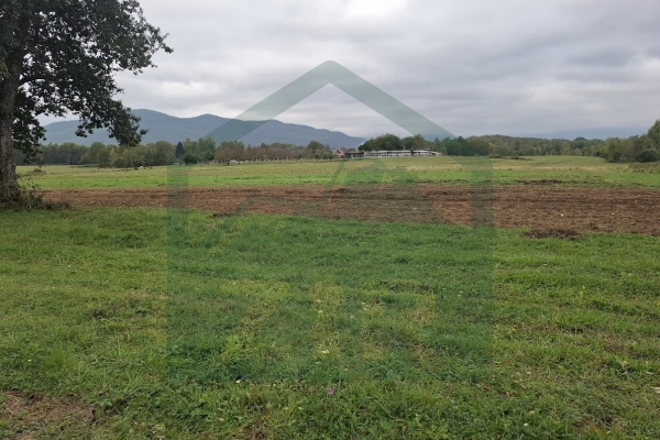 Građevinsko i poljoprivredno zemljište pov. 8000 m², Gornje Pazarište!