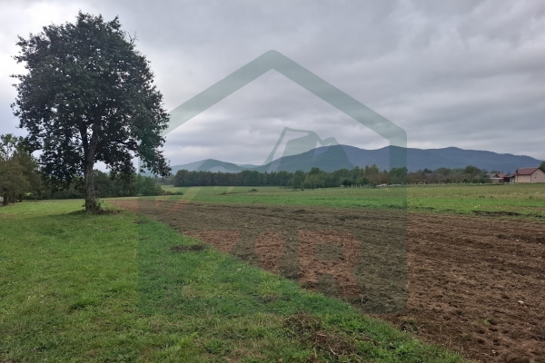 Građevinsko i poljoprivredno zemljište pov. 8000 m², Gornje Pazarište!