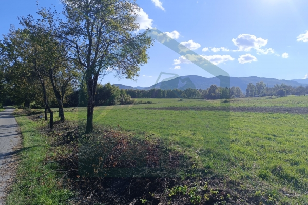 Građevinsko i poljoprivredno zemljište pov. 8000 m², Gornje Pazarište!