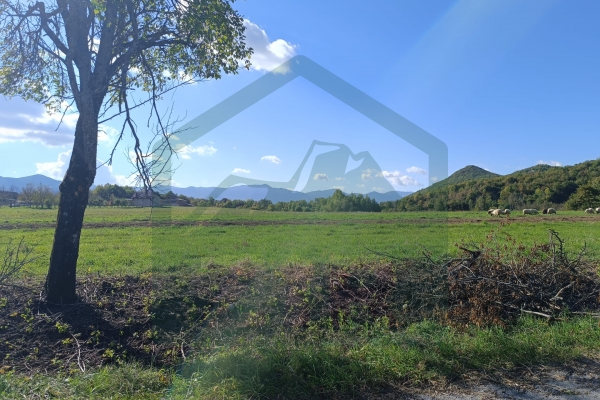 Građevinsko i poljoprivredno zemljište pov. 8000 m², Gornje Pazarište!