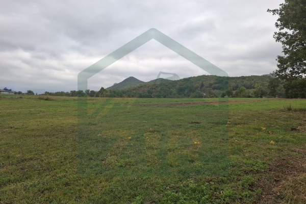 Građevinsko i poljoprivredno zemljište pov. 8000 m², Gornje Pazarište!