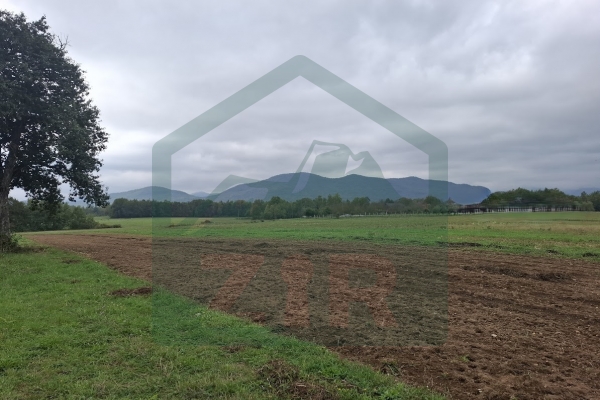 Građevinsko i poljoprivredno zemljište pov. 8000 m², Gornje Pazarište!