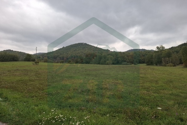 Građevinsko i poljoprivredno zemljište pov. 8000 m², Gornje Pazarište!