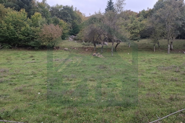 Kuća u Gornjim Pazarištima sa manjom kućom i dvorištem!