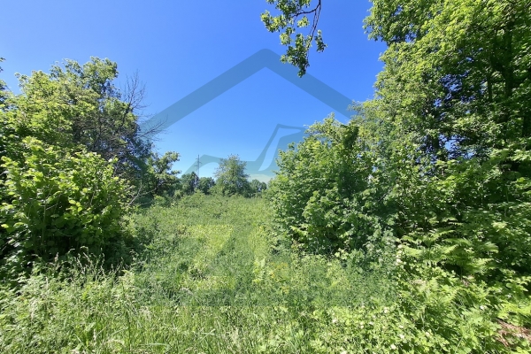 Gospić – Agricultural Land, 7,300 m²