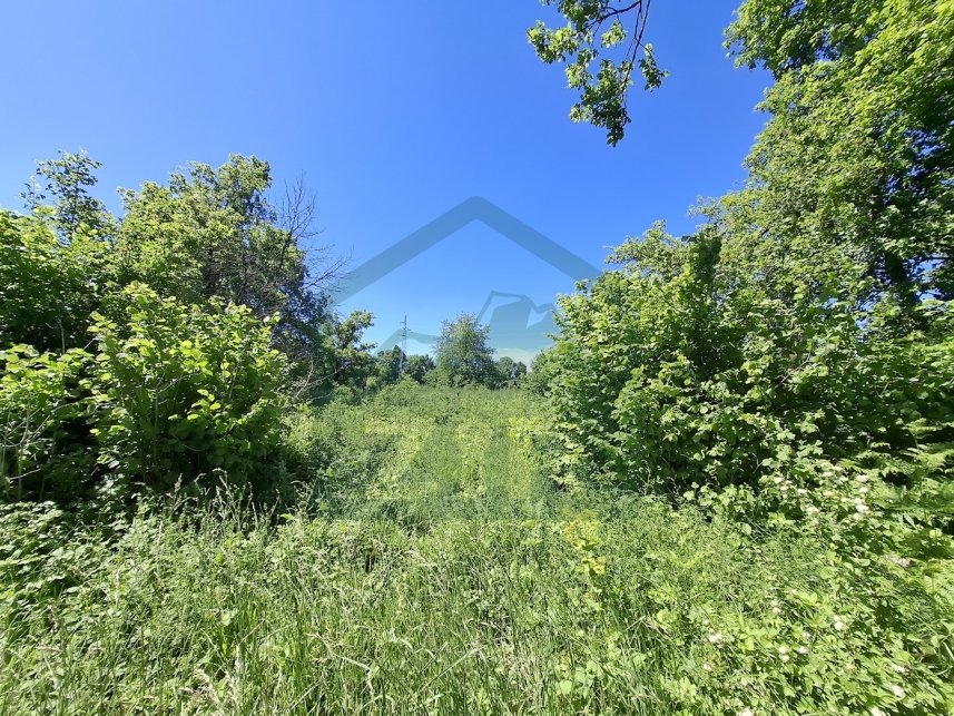 ZIR real estate20260529 110534