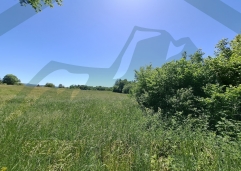 ZIR real estate20260529 110536