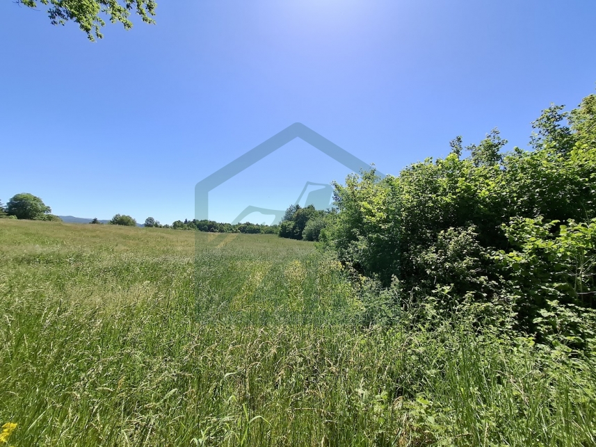 ZIR real estate20260529 110536