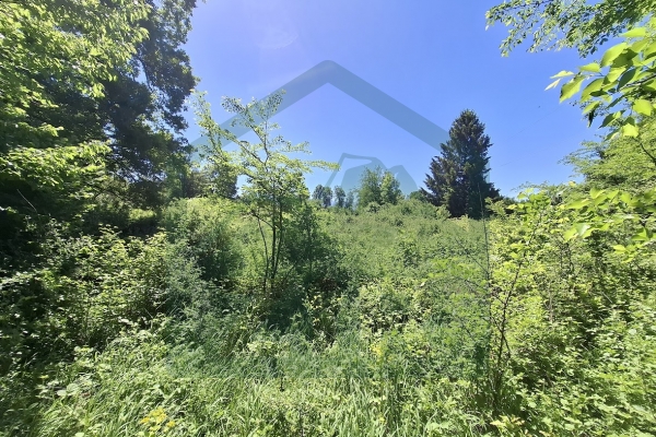 Gospić – Agricultural Land, 7,300 m²