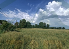 ZIR real estate3