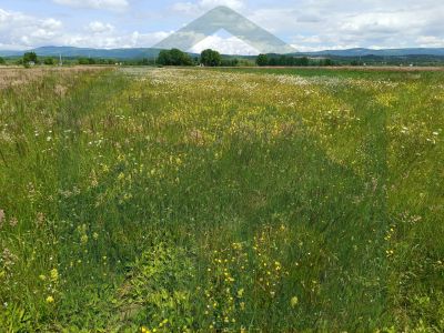 Agricultural Land for Sale in Perušić, 5000 m²! price