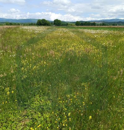 Poljoprivredno zemljište 5000 m², Perušić  cijena
