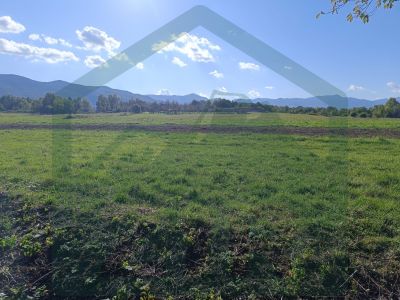 Građevinsko i poljoprivredno zemljište pov. 8000 m², Gornje Pazarište! cijena