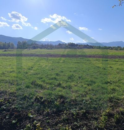 Building and Agricultural Land – 8,000 m², Gornje Pazarište cijena