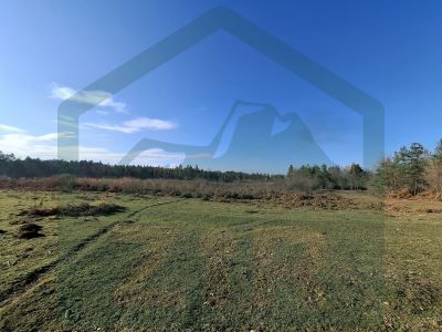 Poljoprivredno zemljište – šuma, Gospić cijena