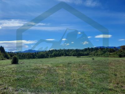 Poljoprivredno zemljište Gospić, 11104 m²  cijena